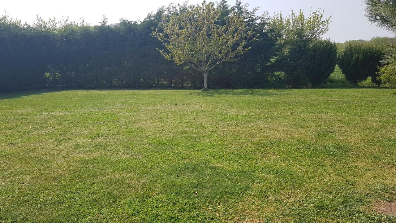 Gite 2-4 Pers Avec Piscine La Selle-sur-le-Bied Exterior foto